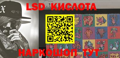 spice Камышлов