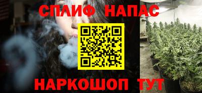 стаф Кандалакша